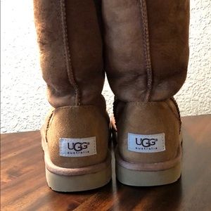 Tall chestnut Uggs size 7